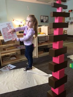 Emalyn pink and brown tower